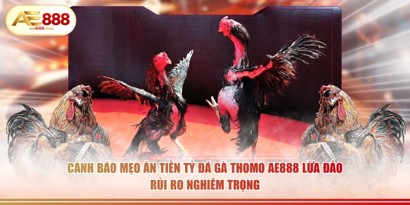 Cảnh báo mẹo ăn tiền tỷ đá gà Thomo AE888 lừa đảo rủi ro nghiêm trọng.